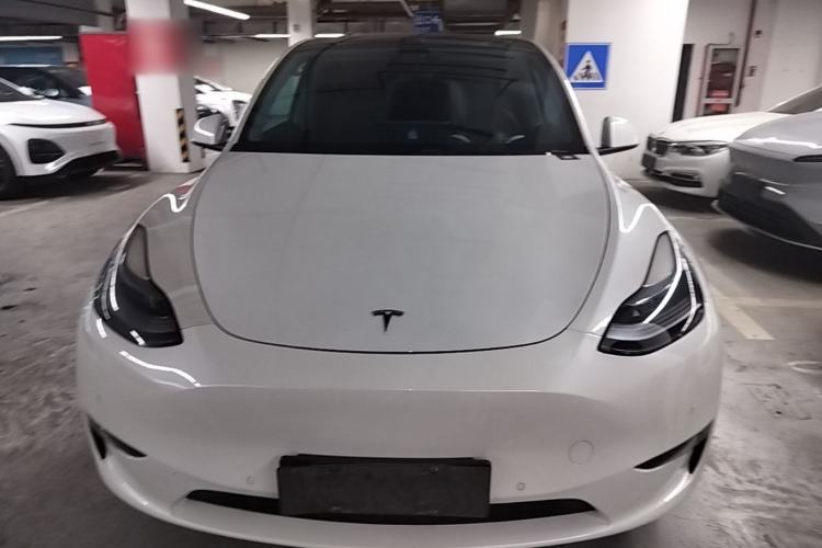Used Tesla Model Y 2021 Standard Range Rear-Wheel Drive Version Front