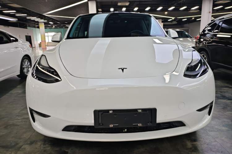Used Tesla Model Y 2021 Standard Range Rear-Wheel Drive Version Front