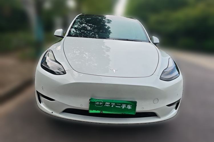 Used Tesla Model Y 2021 Standard Range Rear-Wheel Drive Version Front