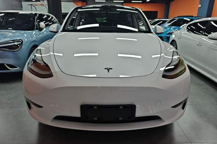 Used Tesla Model Y 2021 Standard Range Rear-Wheel Drive Version Front