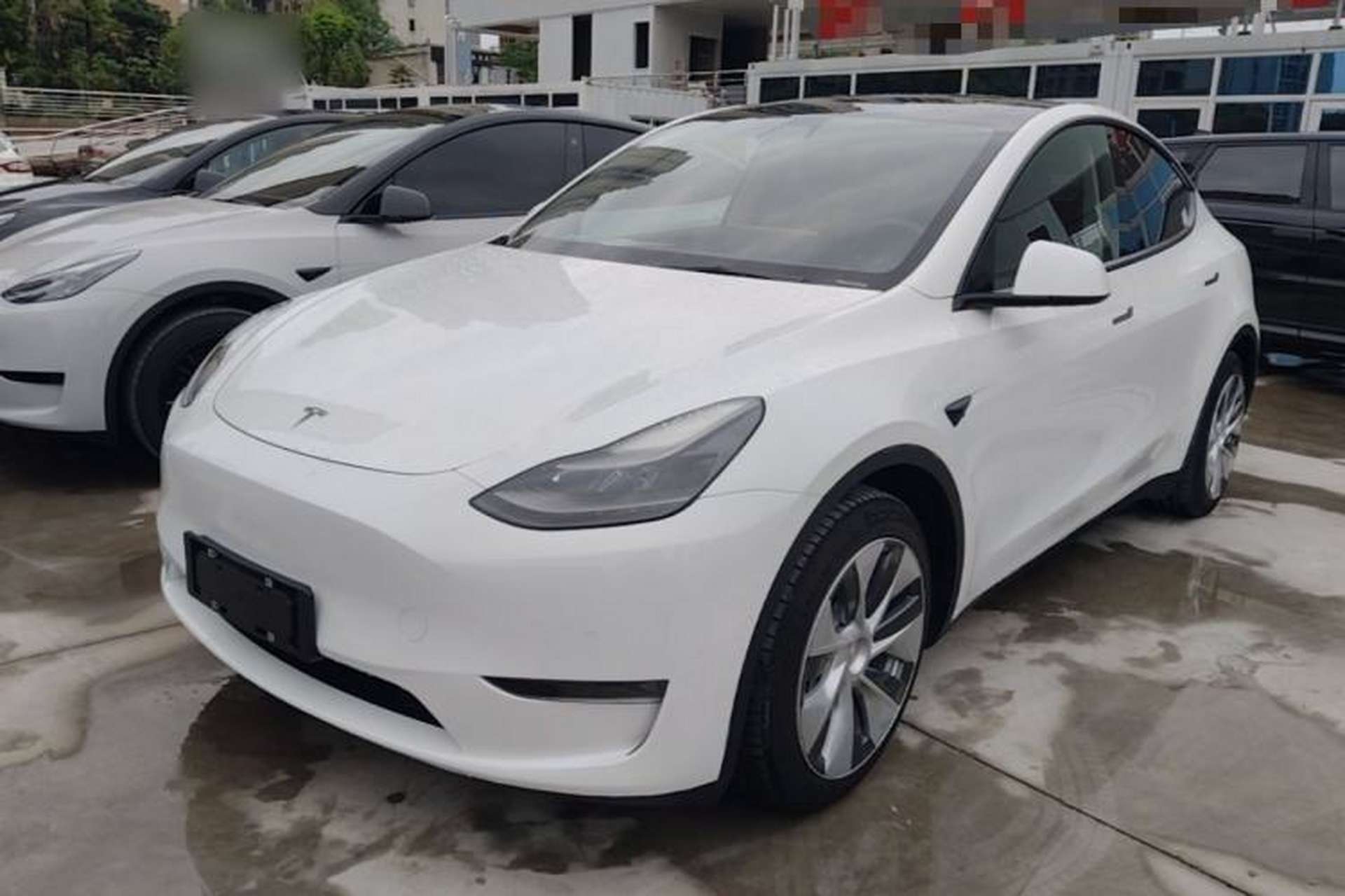Used Tesla Model Y 2021 Standard Range Rear-Wheel Drive Version Front Left 45 Deg