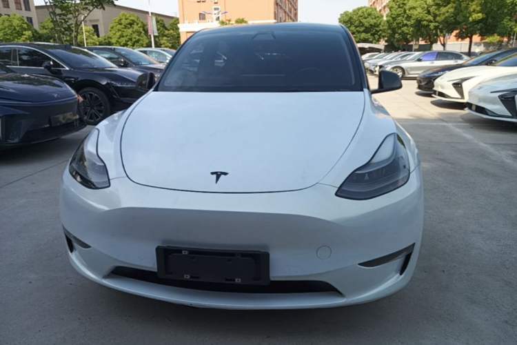 Used Tesla Model Y 2021 Standard Range Rear-Wheel Drive Version Front