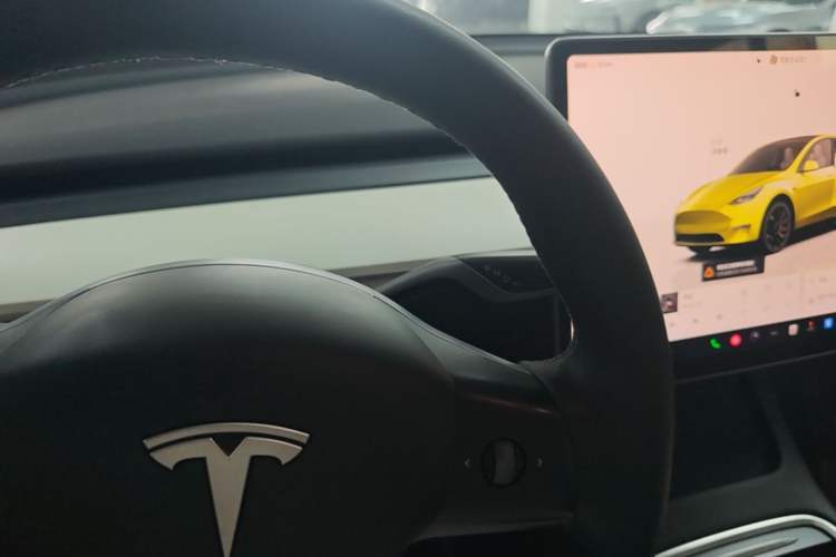 Used Tesla Model Y 2021 Performance High-Performance All-Wheel-Drive Version Gear Lever