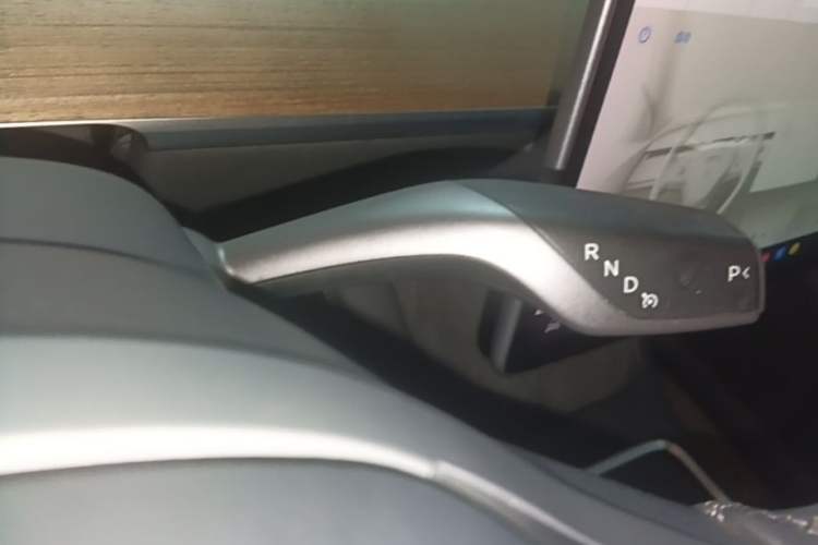 Used Tesla Model Y 2021 Standard Range Rear-Wheel Drive Version Gear Lever