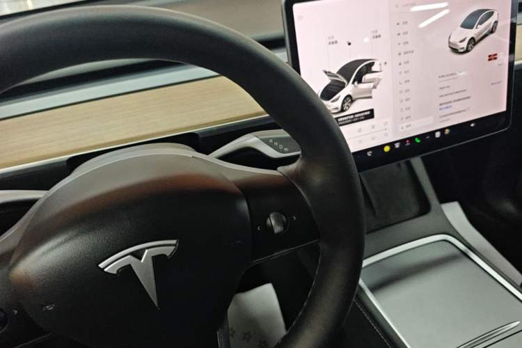 Used Tesla Model Y 2021 Standard Range Rear-Wheel Drive Version Gear Lever