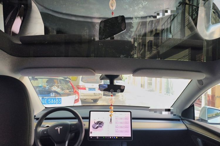 Used Tesla Model Y 2021 Performance High-Performance All-Wheel-Drive Version Headliner