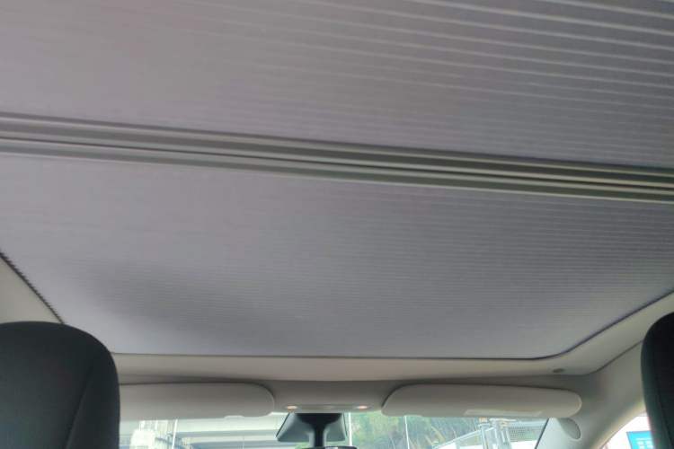 Used Tesla Model Y 2021 Standard Range Rear-Wheel Drive Version Headliner