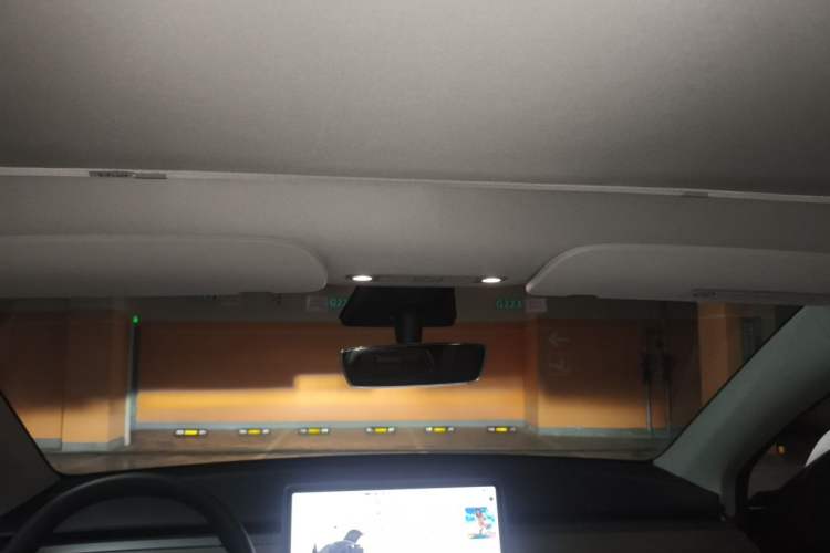 Used Tesla Model Y 2021 Standard Range Rear-Wheel Drive Version Headliner