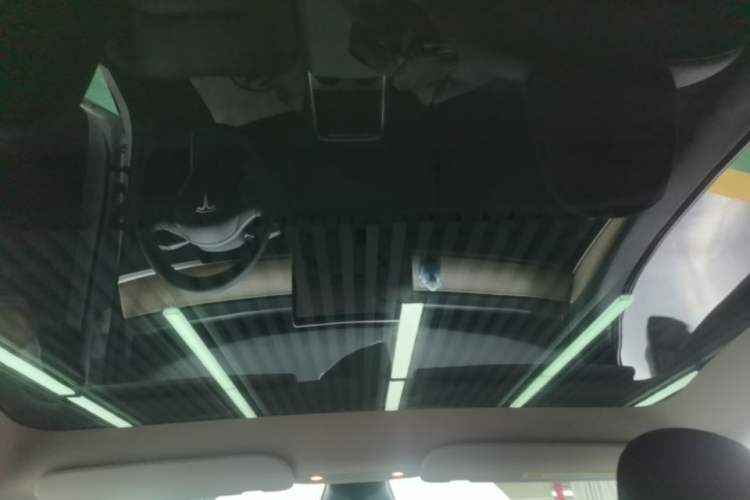 Used Tesla Model Y 2021 Standard Range Rear-Wheel Drive Version Headliner
