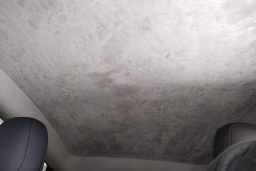 Thumbnail 21