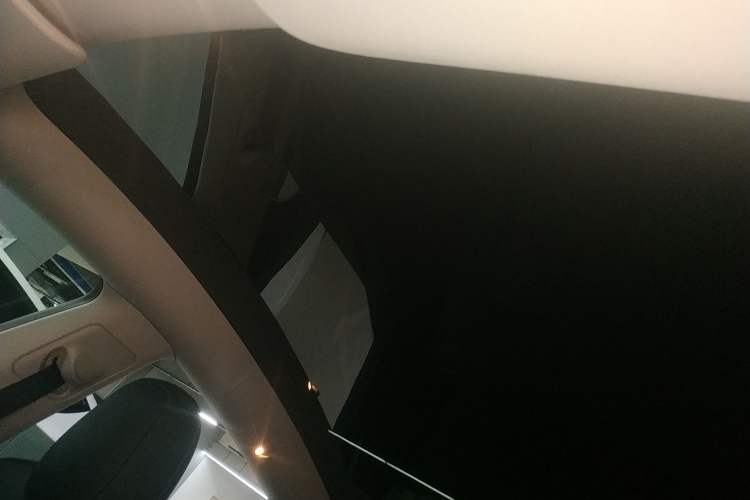 Used Tesla Model Y 2021 Long-Range All-Wheel-Drive Version Headliner