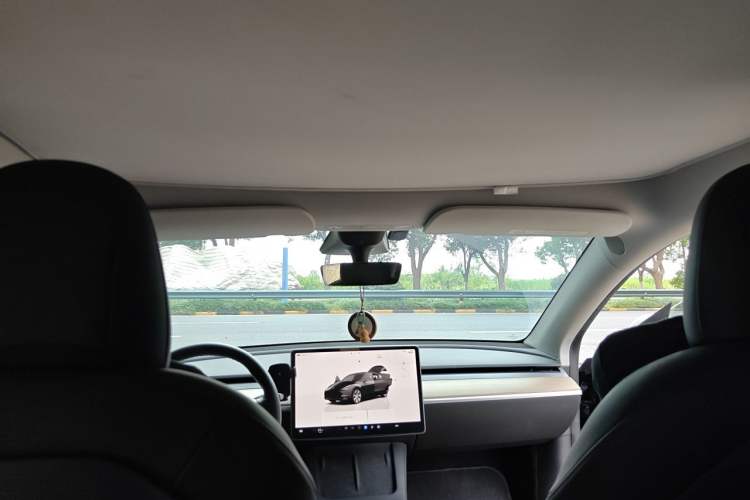 Used Tesla Model Y 2021 Long-Range All-Wheel-Drive Version Headliner