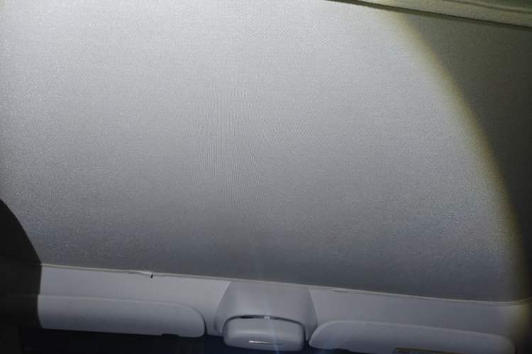 Used Tesla Model Y 2021 Standard Range Rear-Wheel Drive Version Headliner