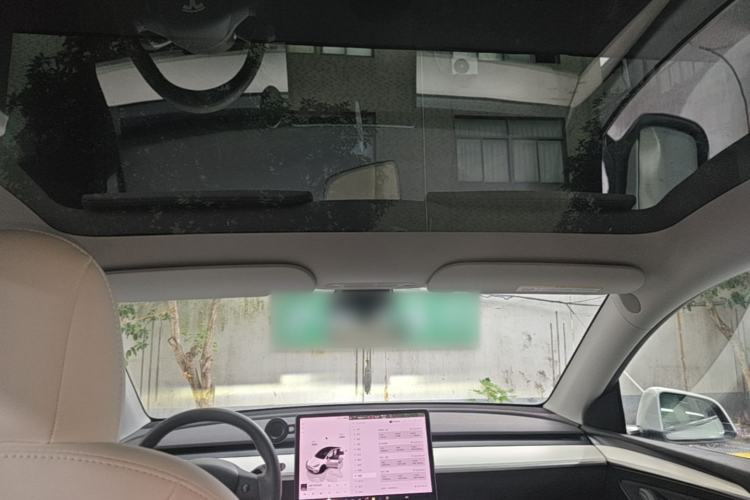 Used Tesla Model Y 2021 Performance High-Performance All-Wheel-Drive Version Headliner