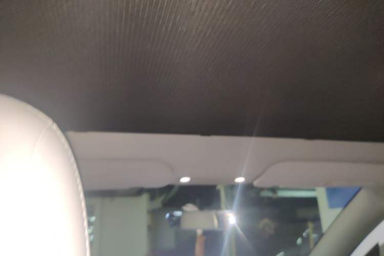 Used Tesla Model Y 2021 Standard Range Rear-Wheel Drive Version Headliner