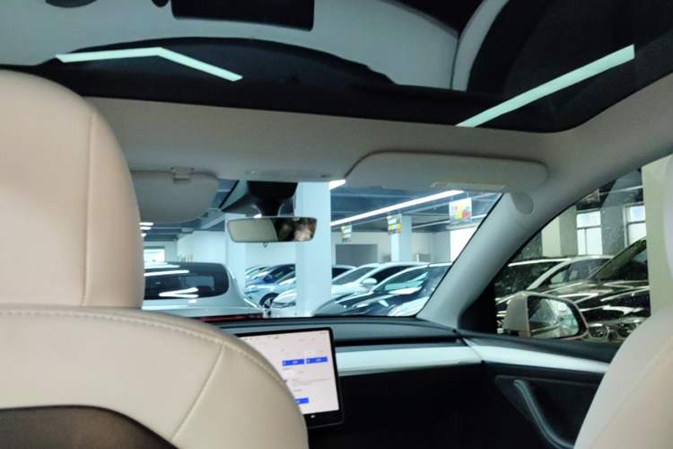 Used Tesla Model Y 2021 Performance High-Performance All-Wheel-Drive Version Headliner