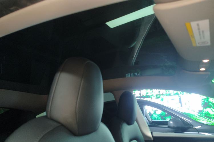 Used Tesla Model Y 2021 Performance High-Performance All-Wheel-Drive Version Headliner