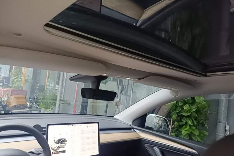 Used Tesla Model Y 2021 Long-Range All-Wheel-Drive Version Headliner