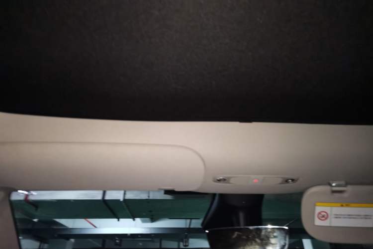 Used Tesla Model Y 2021 Standard Range Rear-Wheel Drive Version Headliner