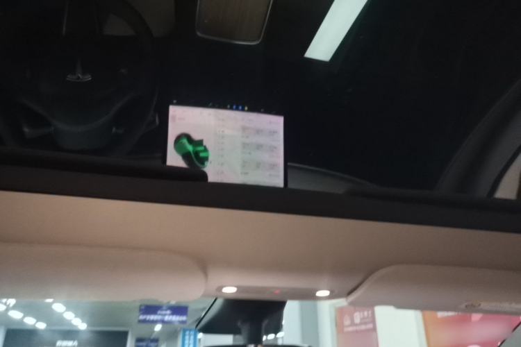 Used Tesla Model Y 2021 Long-Range All-Wheel-Drive Version Headliner