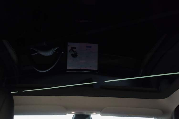 Used Tesla Model Y 2021 Long-Range All-Wheel-Drive Version Headliner