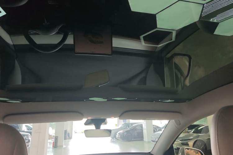 Used Tesla Model Y 2021 Performance High-Performance All-Wheel-Drive Version Headliner