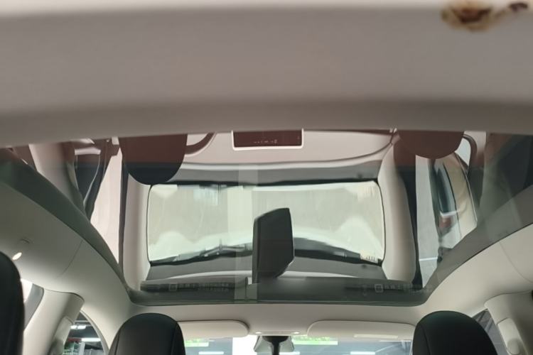 Used Tesla Model Y 2021 Standard Range Rear-Wheel Drive Version Headliner
