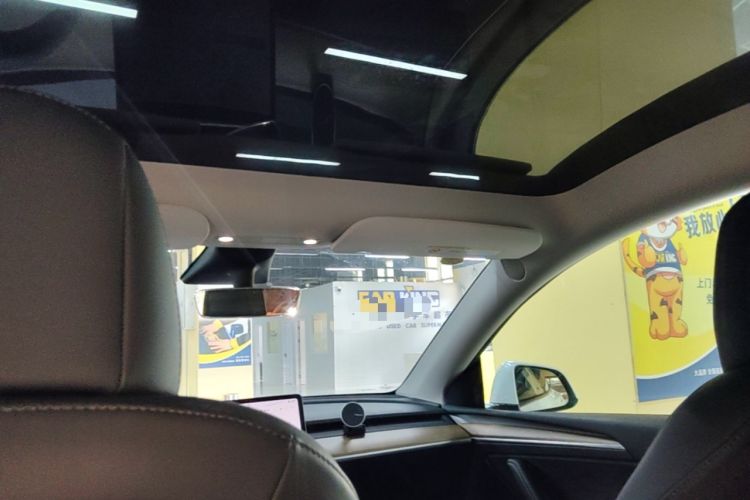 Used Tesla Model Y 2021 Long-Range All-Wheel-Drive Version Headliner