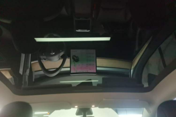 Used Tesla Model Y 2021 Long-Range All-Wheel-Drive Version Headliner