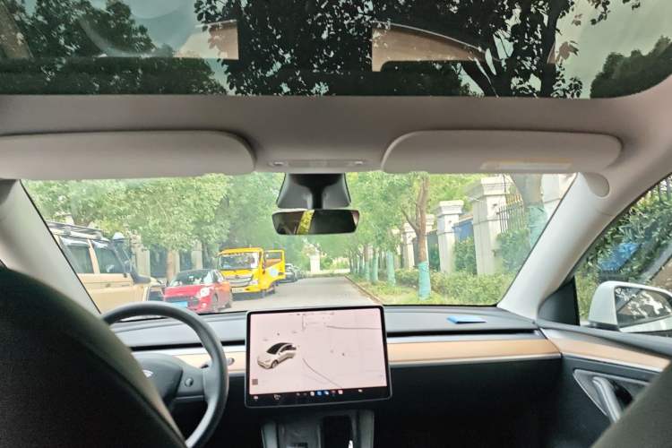 Used Tesla Model Y 2021 Standard Range Rear-Wheel Drive Version Headliner