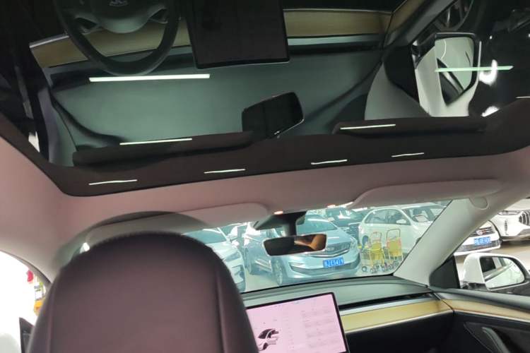 Used Tesla Model Y 2021 Long-Range All-Wheel-Drive Version Headliner