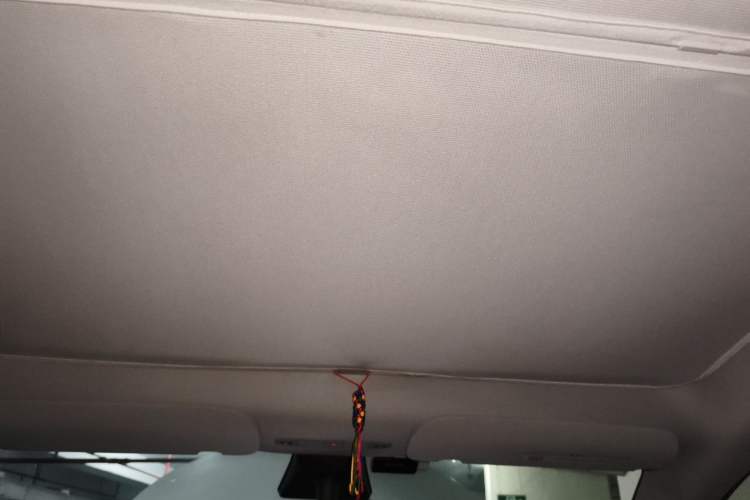 Used Tesla Model Y 2021 Standard Range Rear-Wheel Drive Version Headliner