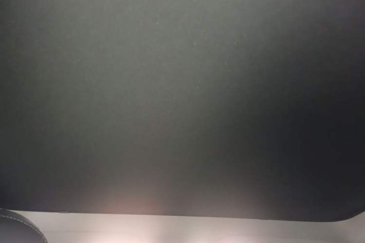 Used Tesla Model Y 2021 Standard Range Rear-Wheel Drive Version Headliner