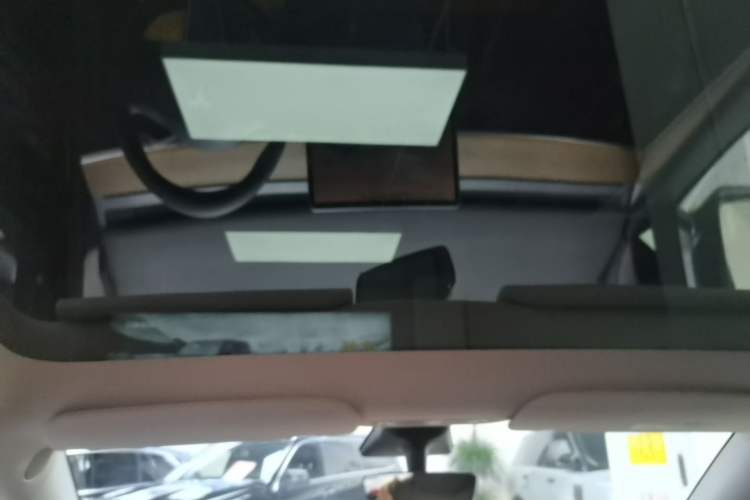 Used Tesla Model Y 2021 Standard Range Rear-Wheel Drive Version Headliner
