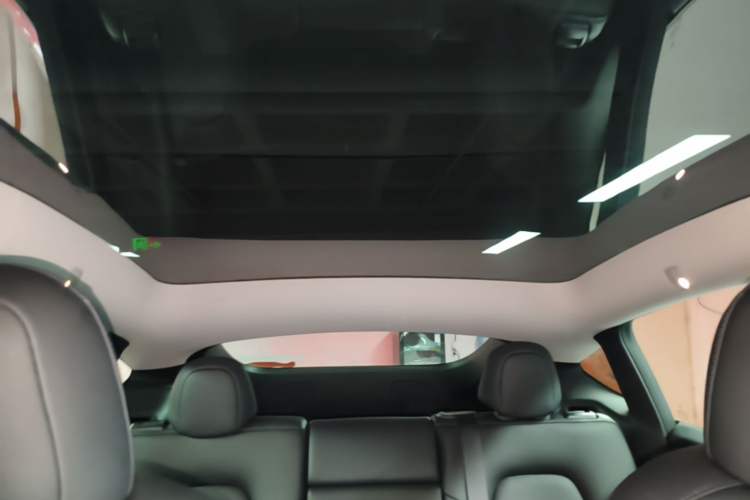 Used Tesla Model Y 2021 Performance High-Performance All-Wheel-Drive Version Headliner