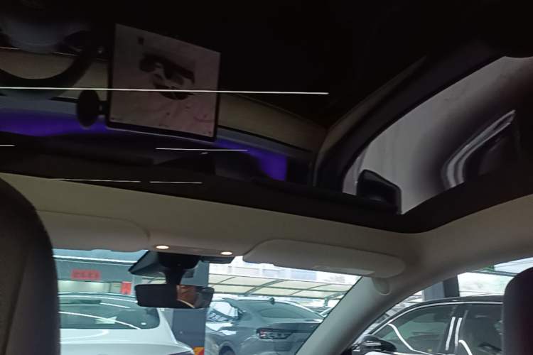 Used Tesla Model Y 2021 Performance High-Performance All-Wheel-Drive Version Headliner