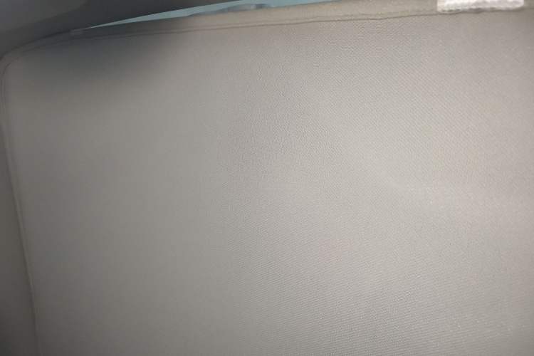 Used Tesla Model Y 2021 Long-Range All-Wheel-Drive Version Headliner