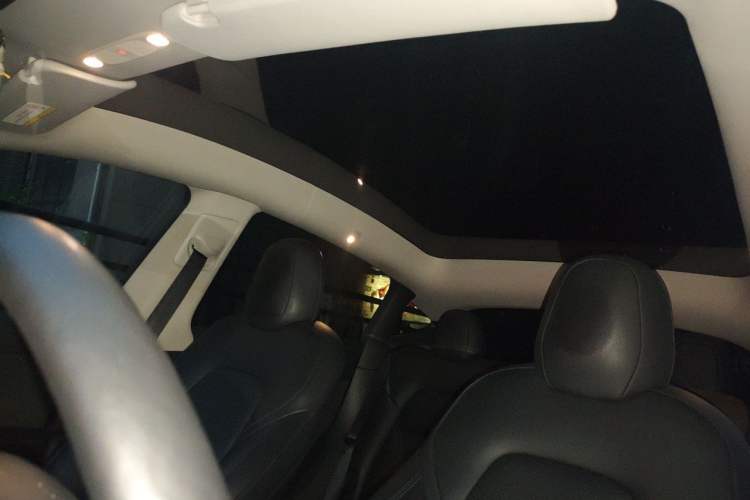 Used Tesla Model Y 2021 Long-Range All-Wheel-Drive Version Headliner