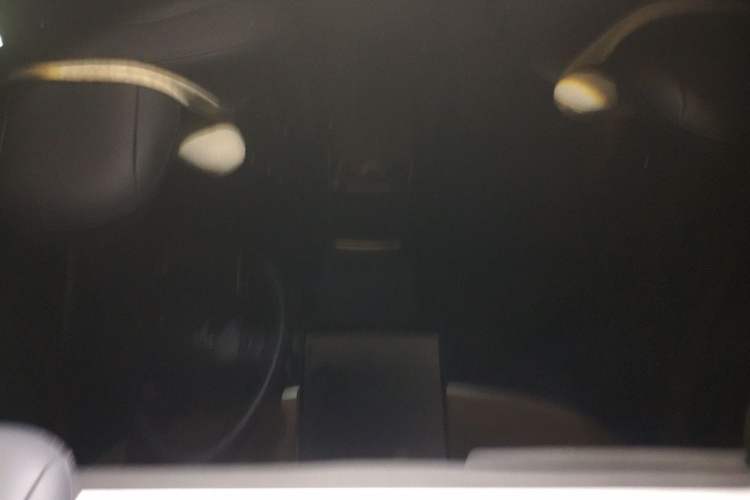 Used Tesla Model Y 2021 Long-Range All-Wheel-Drive Version Headliner