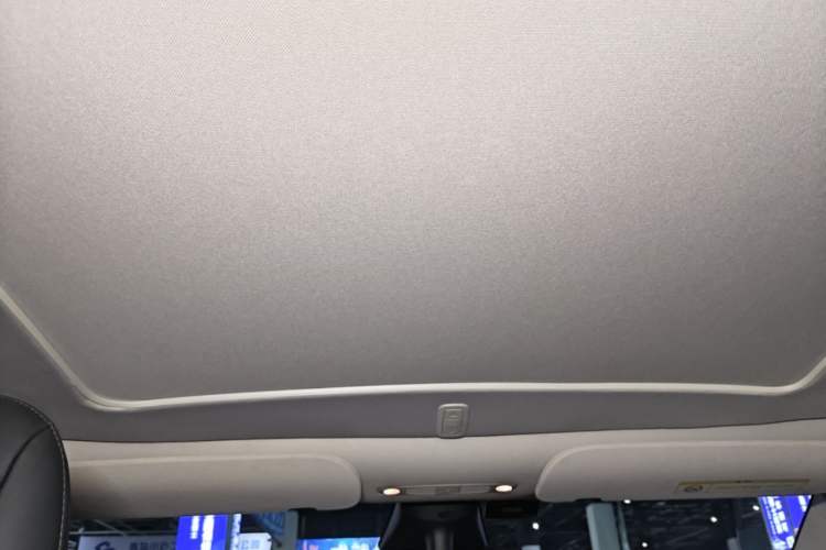 Used Tesla Model Y 2021 Standard Range Rear-Wheel Drive Version Headliner