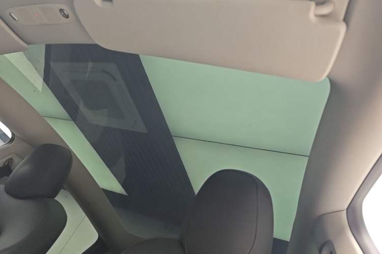 Used Tesla Model Y 2021 Standard Range Rear-Wheel Drive Version Headliner