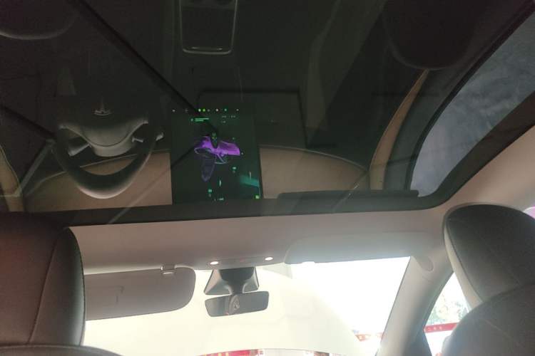 Used Tesla Model Y 2021 Standard Range Rear-Wheel Drive Version Headliner