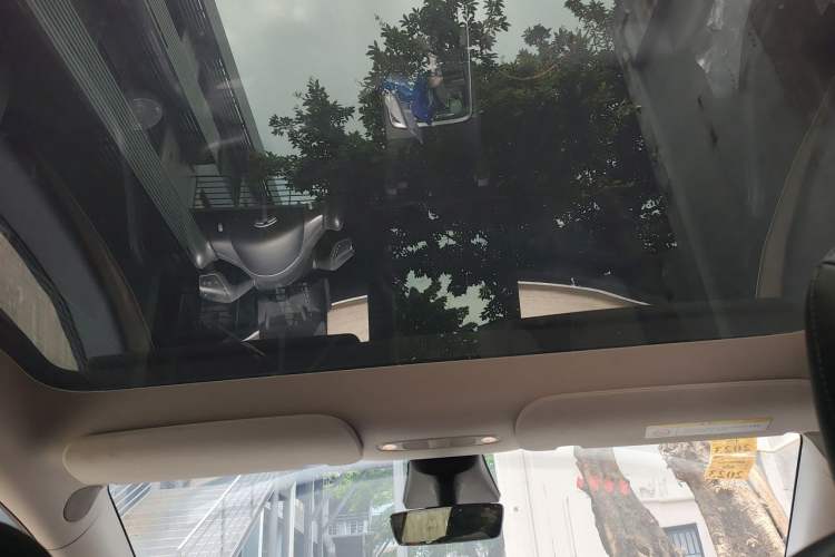 Used Tesla Model Y 2021 Standard Range Rear-Wheel Drive Version Headliner