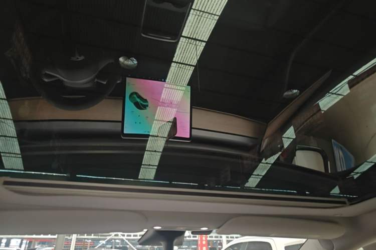Used Tesla Model Y 2021 Standard Range Rear-Wheel Drive Version Headliner