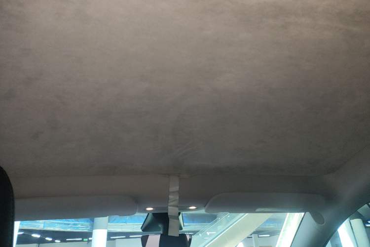 Used Tesla Model Y 2021 Standard Range Rear-Wheel Drive Version Headliner