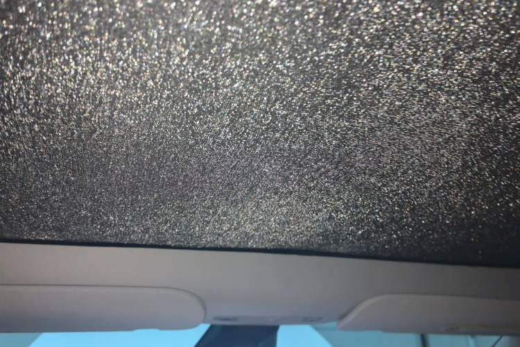 Used Tesla Model Y 2021 Long-Range All-Wheel-Drive Version Headliner