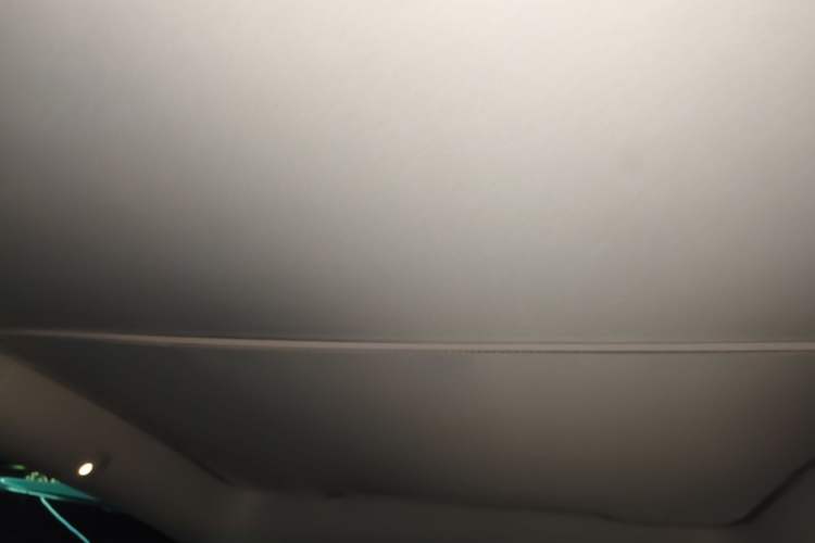 Used Tesla Model Y 2021 Standard Range Rear-Wheel Drive Version Headliner