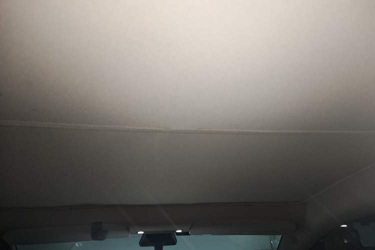 Used Tesla Model Y 2021 Standard Range Rear-Wheel Drive Version Headliner