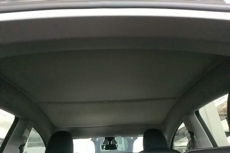 Used Tesla Model Y 2021 Long-Range All-Wheel-Drive Version Headliner