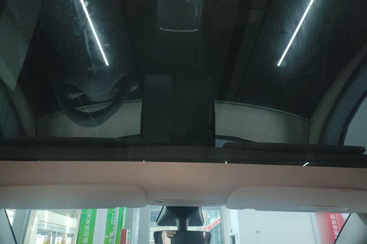 Used Tesla Model Y 2021 Standard Range Rear-Wheel Drive Version Headliner